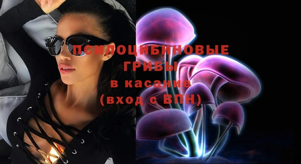 стаф Беломорск
