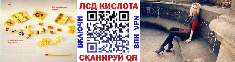 где купить наркоту  Светлогорск  Лсд 25 экстази кислота 